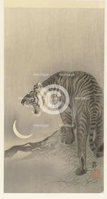 Roaring tiger. Creator: Ohara, Koson (1877-1945).