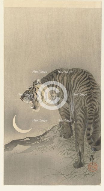 Roaring tiger. Creator: Ohara, Koson (1877-1945).