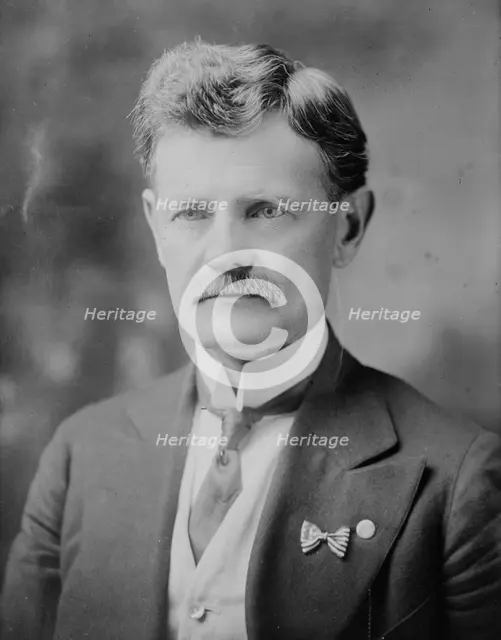 Robert Newton Harper, between c1915 and c1920. Creator: Bain News Service.