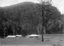 Robert Augustus Henry L'Estrange's "Homestead" Canungra, c1880s. Creator: Robert Augustus Henry L'Estrange