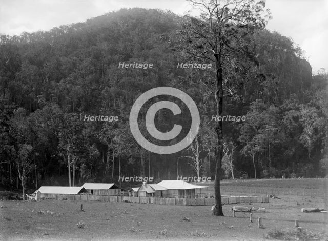 Robert Augustus Henry L'Estrange's "Homestead" Canungra, c1880s. Creator: Robert Augustus Henry L'Estrange.