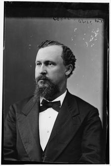 Robert Hamilton McWhorta Davidson of Florida, between 1870 and 1880. Creator: Unknown