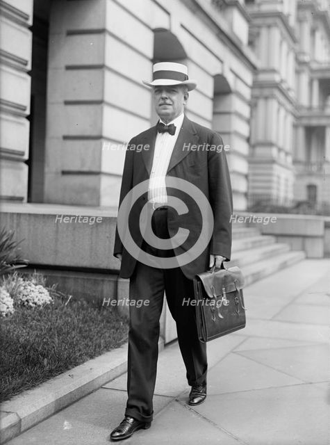 Robert Lansing, Secretary of State, 1917. Creator: Harris & Ewing.