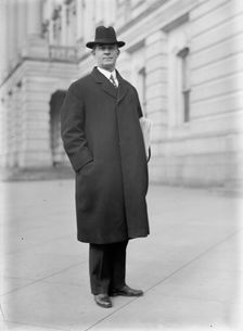 Robert Lee Henry, Rep. from Texas, 1913. Creator: Harris & Ewing