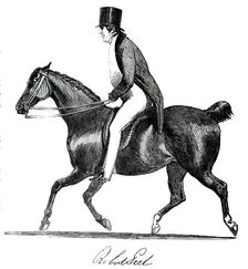 Robert Peel, 1850. Creator: Unknown