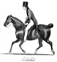 Robert Peel, 1850. Creator: Unknown