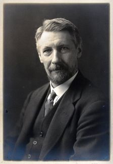 Robert Wallace Henry. Creator: Unknown
