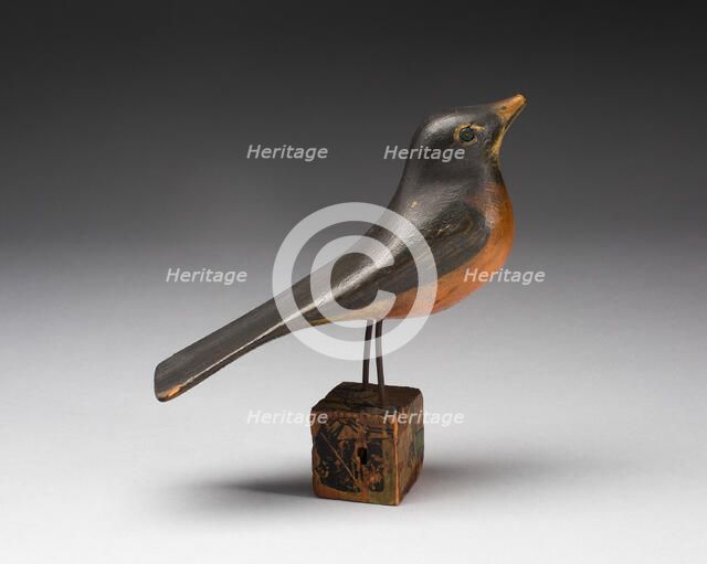 Robin, 1860/1900. Creator: Unknown.