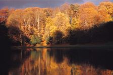 Robin Hoods Wood seen across a lake on the River Skell, North Yorkshire, 20th century. Artist: CM Dixon