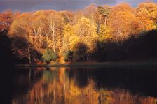 Robin Hoods Wood seen across a lake on the River Skell, North Yorkshire, 20th century. Artist: CM Dixon