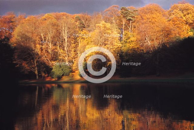 Robin Hoods Wood seen across a lake on the River Skell, North Yorkshire, 20th century.  Artist: CM Dixon.