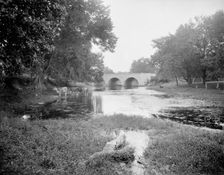 Robson's Bridge, Wilmington, Ill., between 1900 and 1906. Creator: Unknown