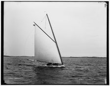 Rocket, between 1880 and 1899. Creator: Unknown