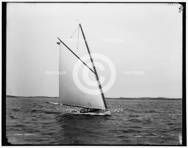 Rocket, between 1880 and 1899. Creator: Unknown.