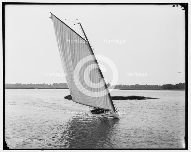 Rocket, between 1880 and 1899. Creator: Unknown.