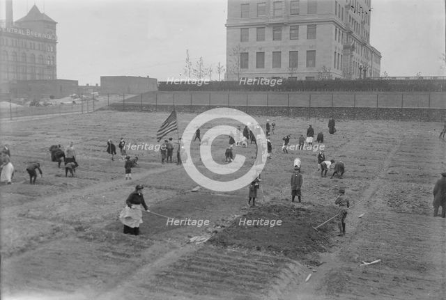 Rockefeller garden, 1917. Creator: Bain News Service.