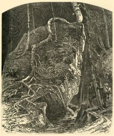Rocks in Smuggler's Notch 1874. Creator: Harry Fenn