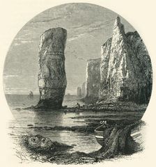 Rocks near Bournemouth c1870