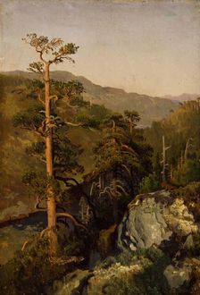 Rocky Landscape with Pinetreees, 1850. Creator: Herman August Cappelen