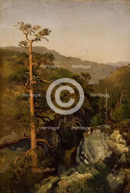 Rocky Landscape with Pinetreees, 1850. Creator: Herman August Cappelen.