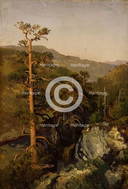 Rocky Landscape with Pinetreees, 1850. Creator: Herman August Cappelen.