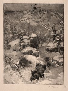 Roche Cuvier Chatillon, 1887. Creator: Auguste Louis Lepère (French, 1849-1918)