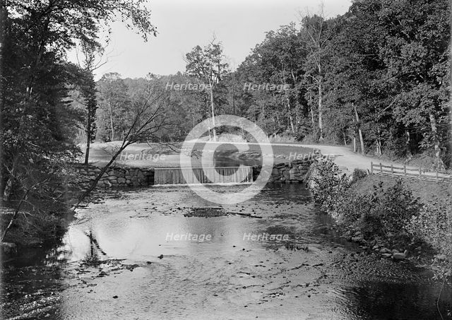 Rock Creek Park Scenes, 1912. Creator: Harris & Ewing.