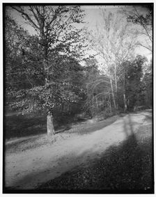 Rock Creek Park scenes, between 1910 and 1920. Creator: Harris & Ewing