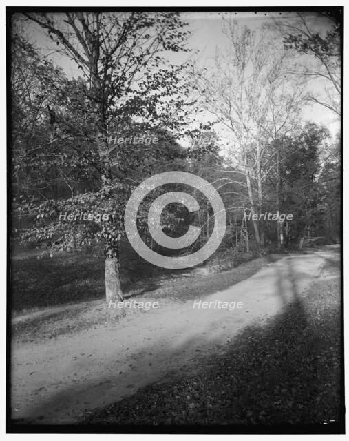 Rock Creek Park scenes, between 1910 and 1920. Creator: Harris & Ewing.