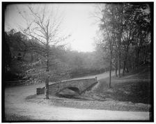 Rock Creek Park scenes, between 1910 and 1920. Creator: Harris & Ewing