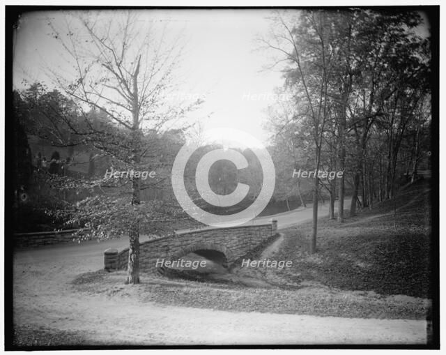Rock Creek Park scenes, between 1910 and 1920. Creator: Harris & Ewing.