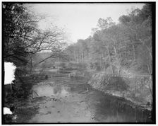 Rock Creek Park scenes, between 1910 and 1920. Creator: Harris & Ewing