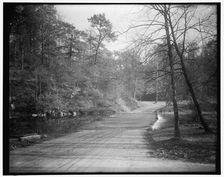 Rock Creek Park scenes, between 1910 and 1920. Creator: Harris & Ewing