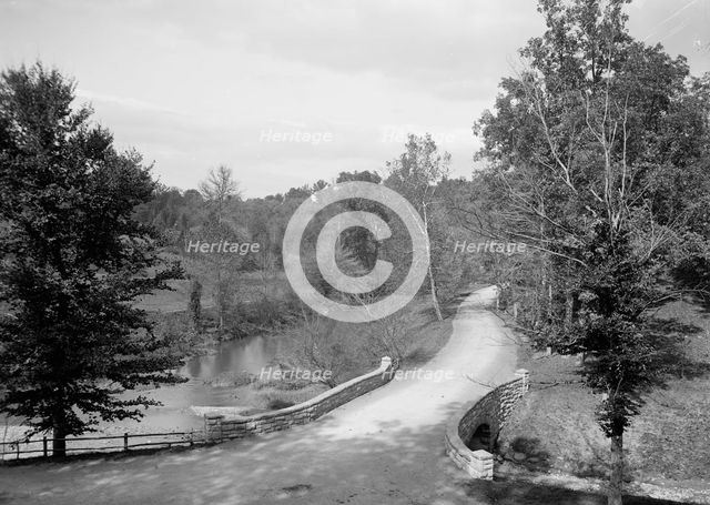 Rock Creek Road, Zoo Park, Washington, D.C., c1906. Creator: Unknown.