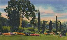 Rock Garden, Trinidad, B.W.I. c1940s. Creator: Unknown