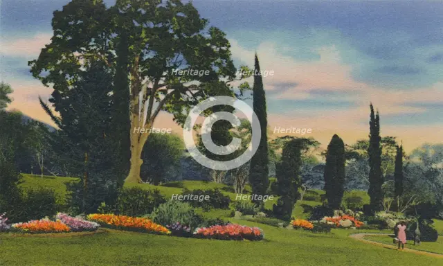 'Rock Garden, Trinidad, B.W.I.', c1940s. Creator: Unknown.