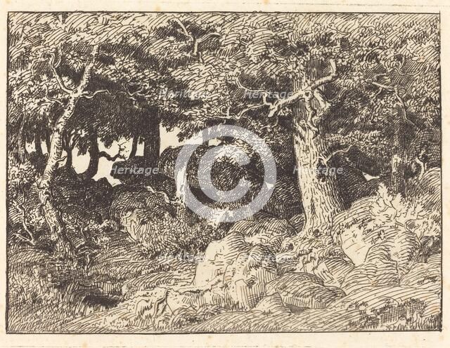 Rock Oaks, 1861. Creator: Theodore Rousseau.