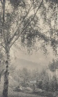 Rodin's Garden, c.1893. Creator: Gertrude Kasebier