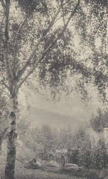 Rodin's Garden, c.1893. Creator: Gertrude Kasebier