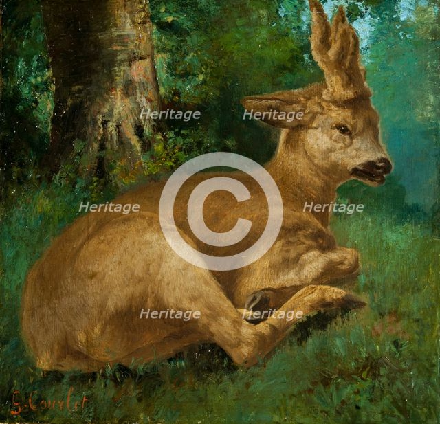 Roebuck. Creator: Courbet, Gustave (1819-1877).