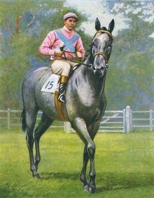 Rogerstone Castle, Jockey: E. C. Elliott 1939