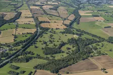 Rokeby Park landscape park, County Durham, 2024. Creator: Robyn Andrews