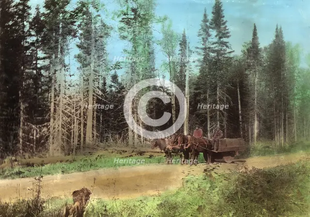 Roller for rolling road surfaces, 1906-1908. Creator: Dorozhno-Stroitel'nyi Otdel.