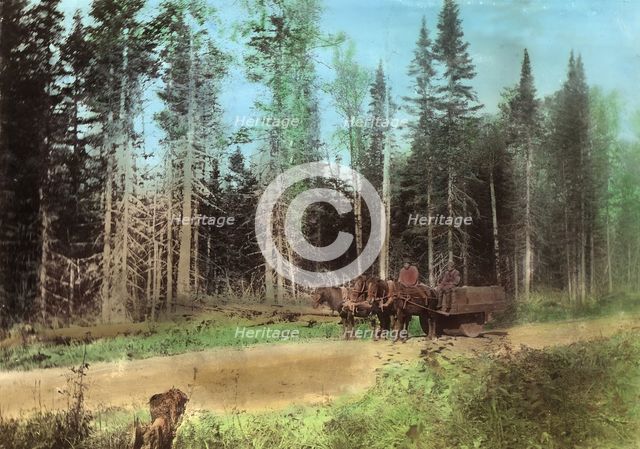 Roller for rolling road surfaces, 1906-1908. Creator: Dorozhno-Stroitel'nyi Otdel.