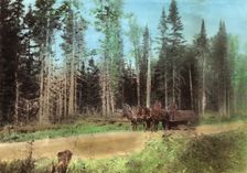 Roller for rolling road surfaces, 1906-1908. Creator: Dorozhno-Stroitel'nyi Otdel