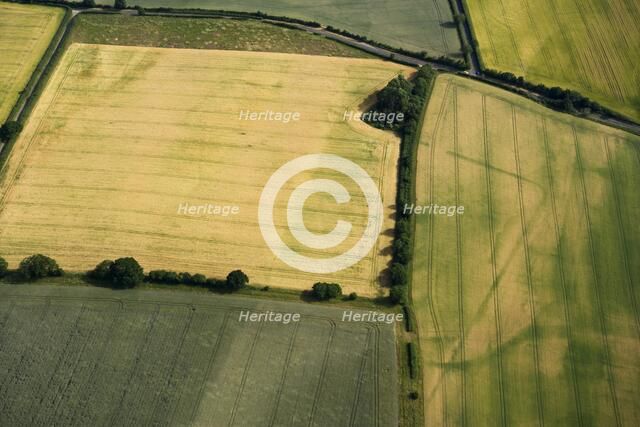 Roman camp, Bradford Abbas, Dorset, 2010. Artist: Damian Grady.