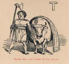 Roman Bull and Priest of the period 1852. Artist: John Leech