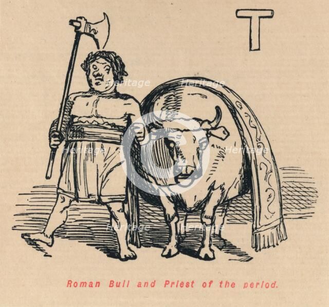 'Roman Bull and Priest of the period', 1852. Artist: John Leech.