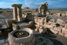 Roman olive presses in the city of Sufetula