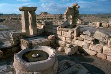 Roman olive presses in the city of Sufetula